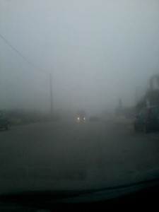 nebbia2