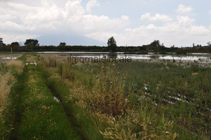 Il lago di Polvica